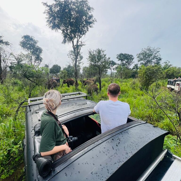 Sunshine Jeep Safari