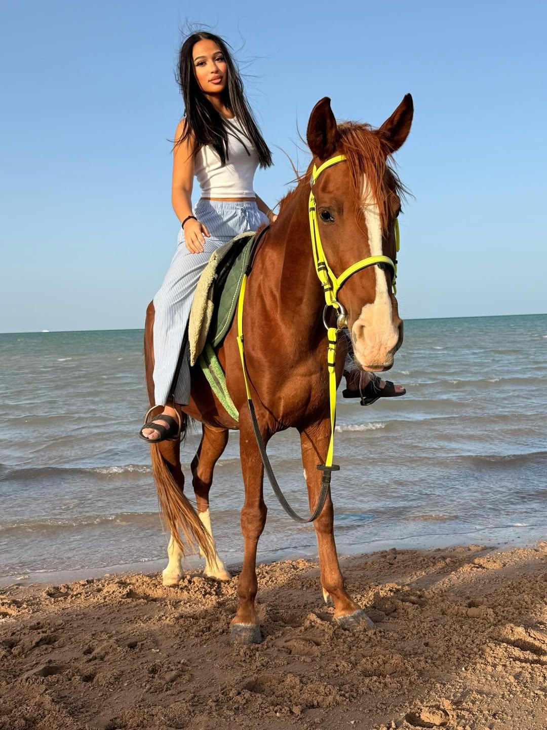 Hurghada Explorers trips