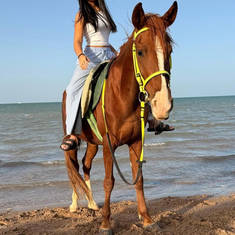 Hurghada Explorers trips