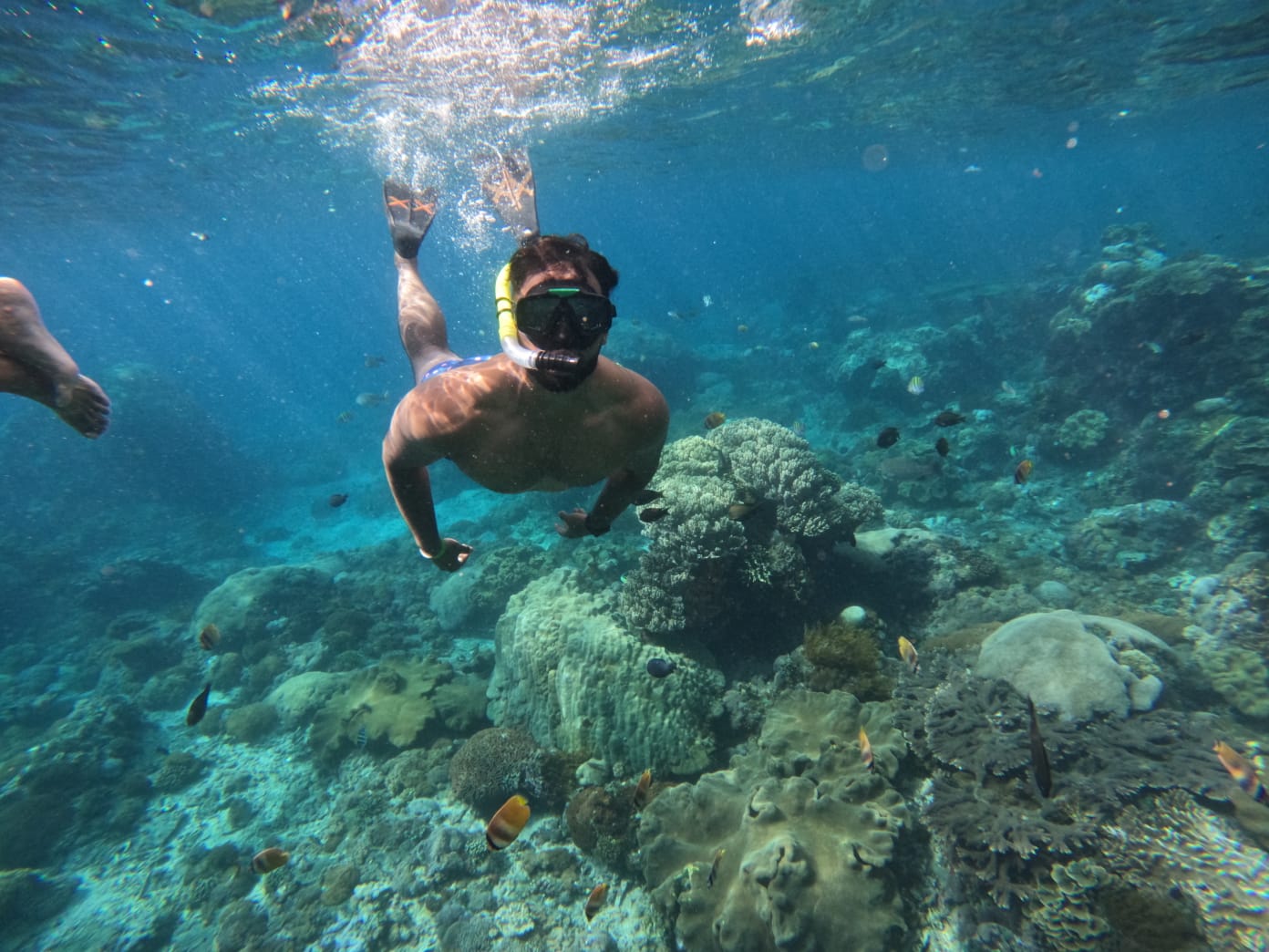 I ketut sukarasa