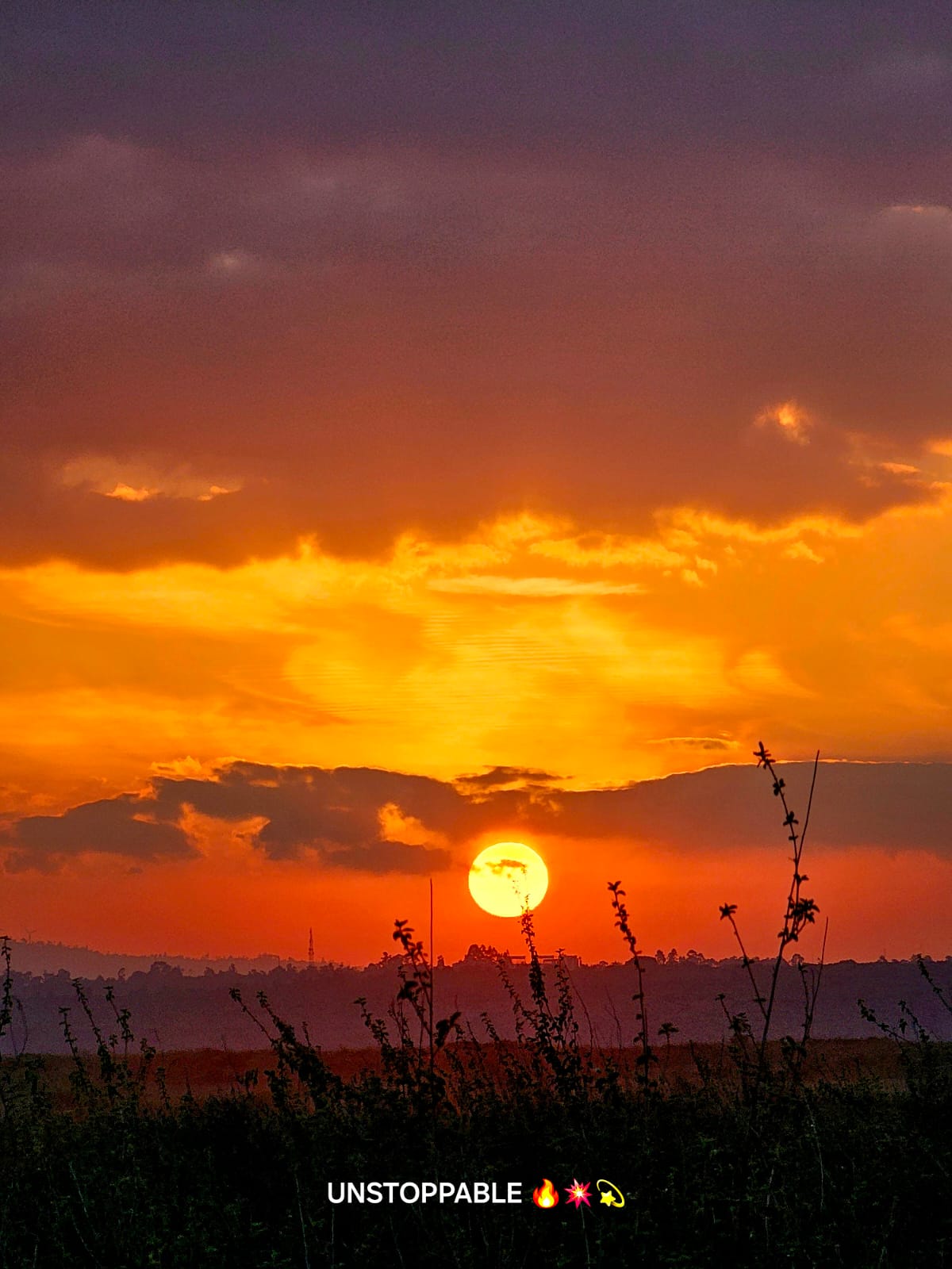 Global Cross Safaris