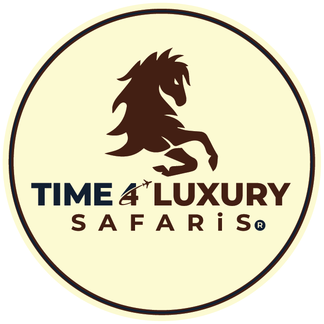 Time 4 Luxury Safaris