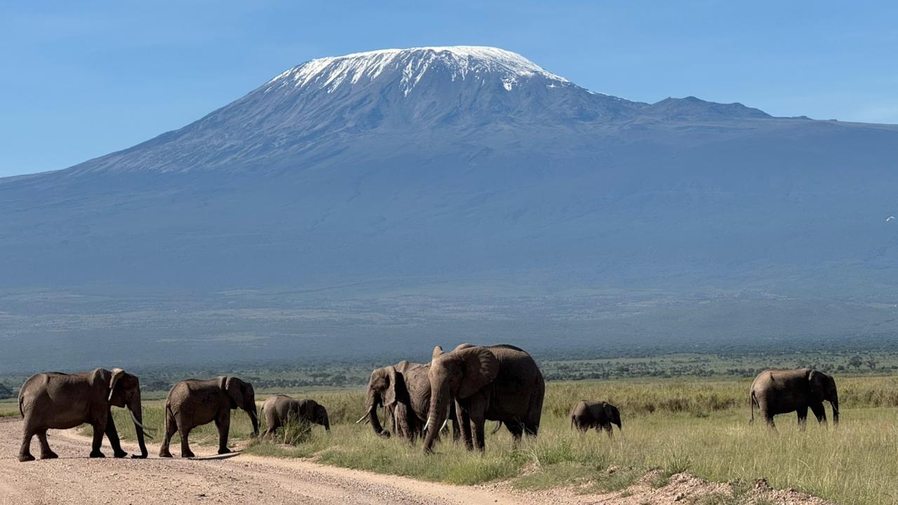 Supersight Tours and Travel