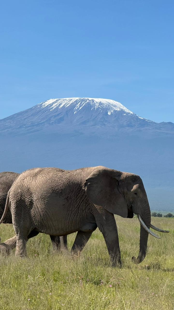 Supersight Tours and Travel