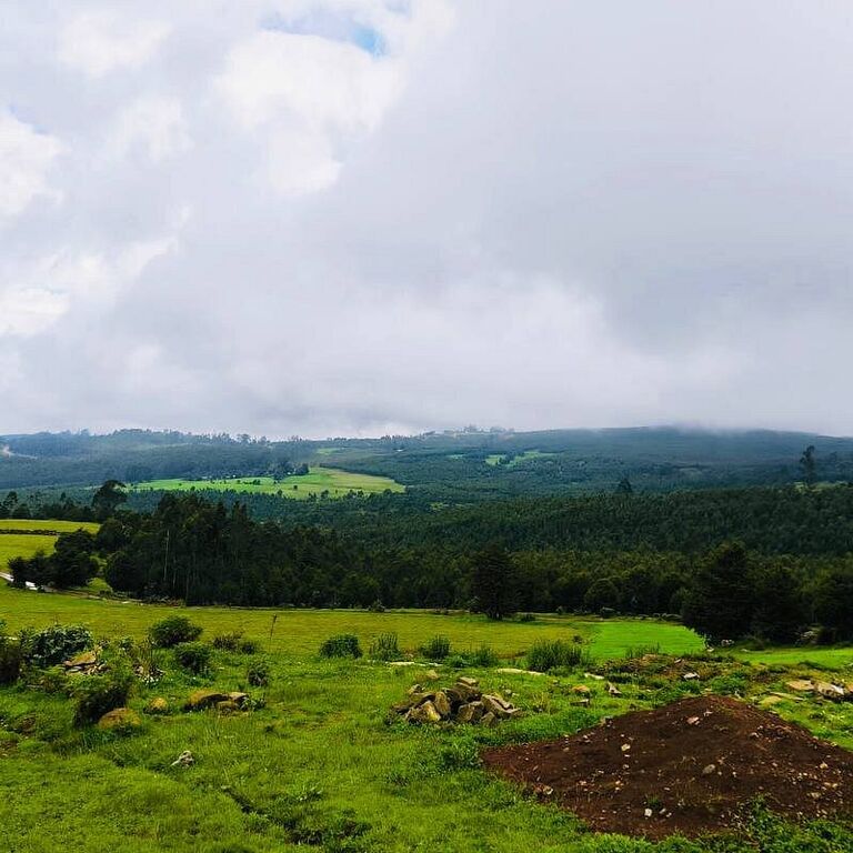 Mount Entoto