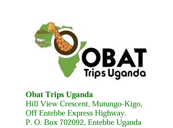 Obat Trips Uganda