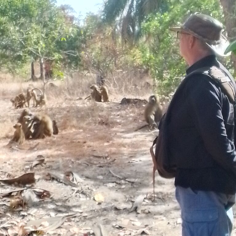 Liono Gambian Experience