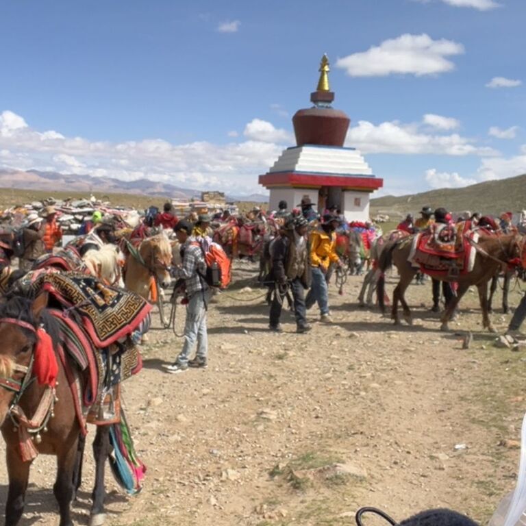 Himalayan Asia Tours