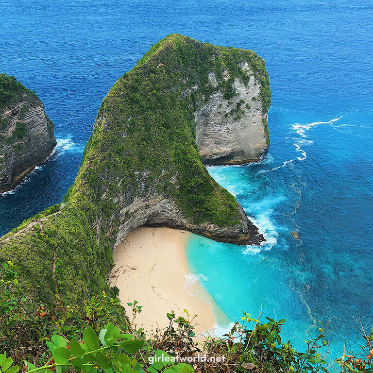 Savio Tour and Travel