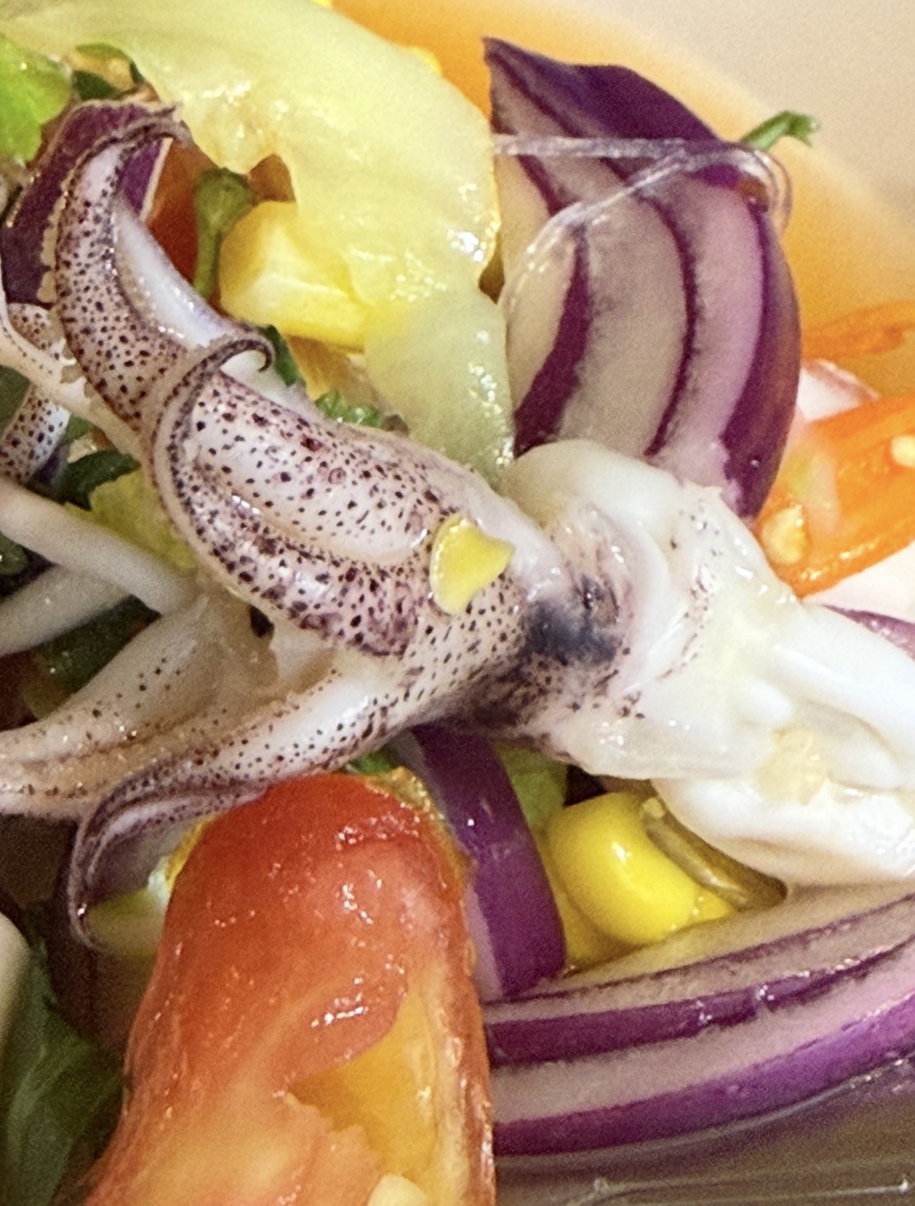 Winner‘s Thai Restaurant