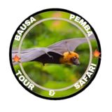Bausa Pemba Tour