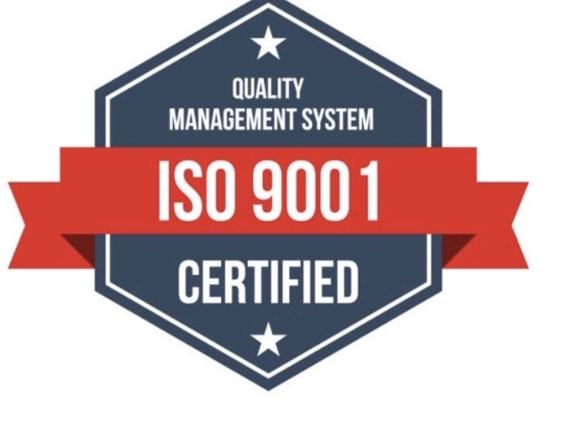 Tulip travel & Events