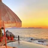 Tulip travel & Events