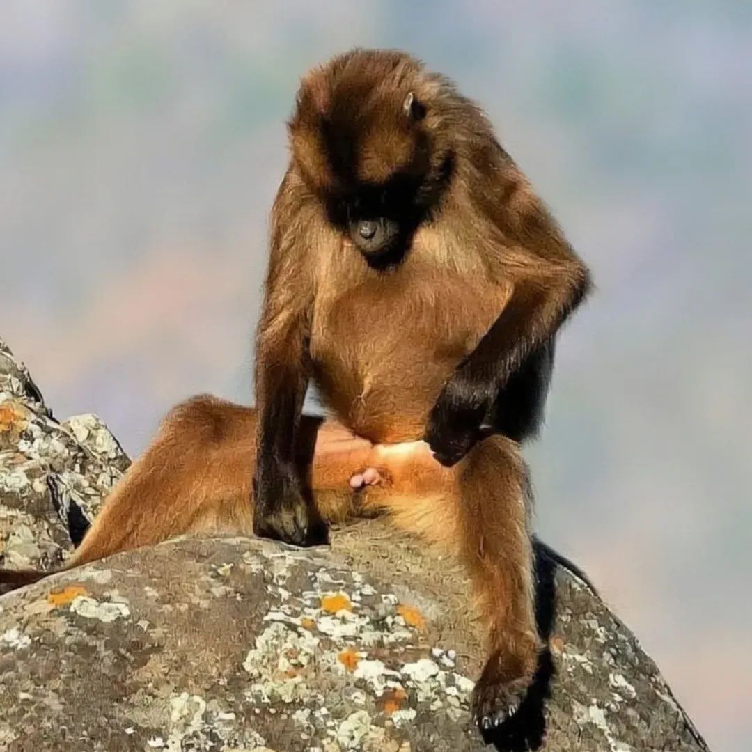 Fidel Ethiopia Expedition