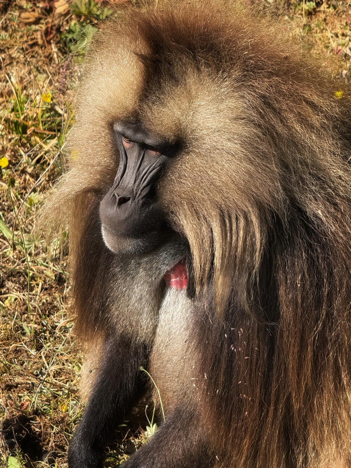 Fidel Ethiopia Expedition