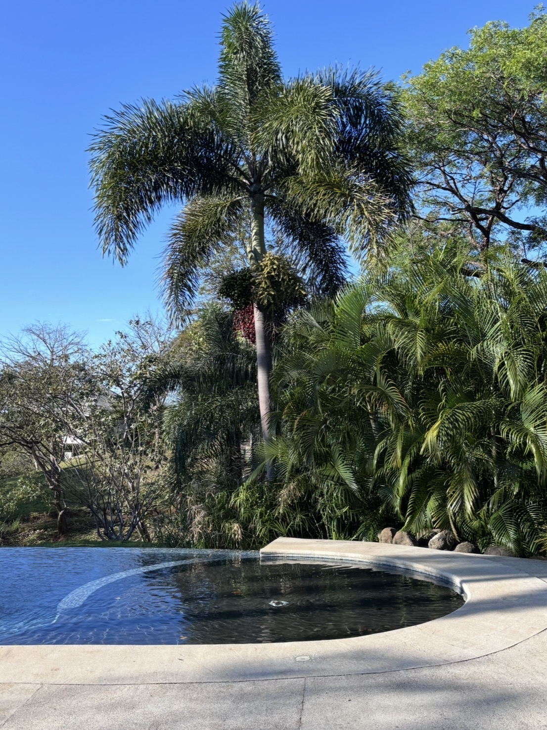 Mikado Natural Lodge