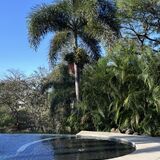 Mikado Natural Lodge
