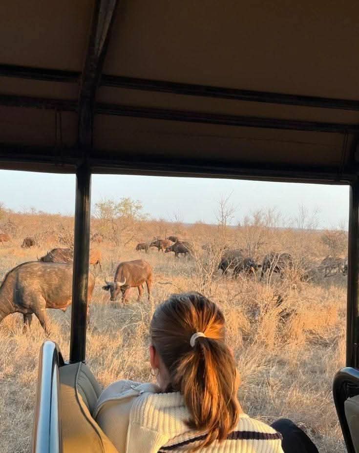 Tims Jungle Explorer Safaris