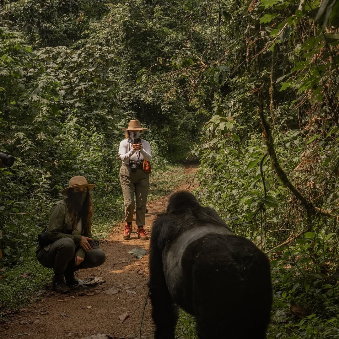 Safari Hunters UG