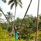 Ubud best driver
