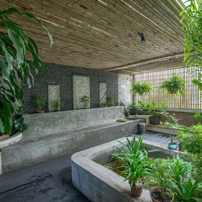Nấm Spa