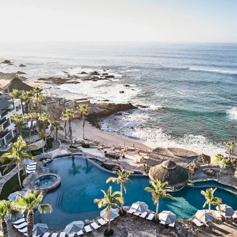 Cabo Shuttle Services