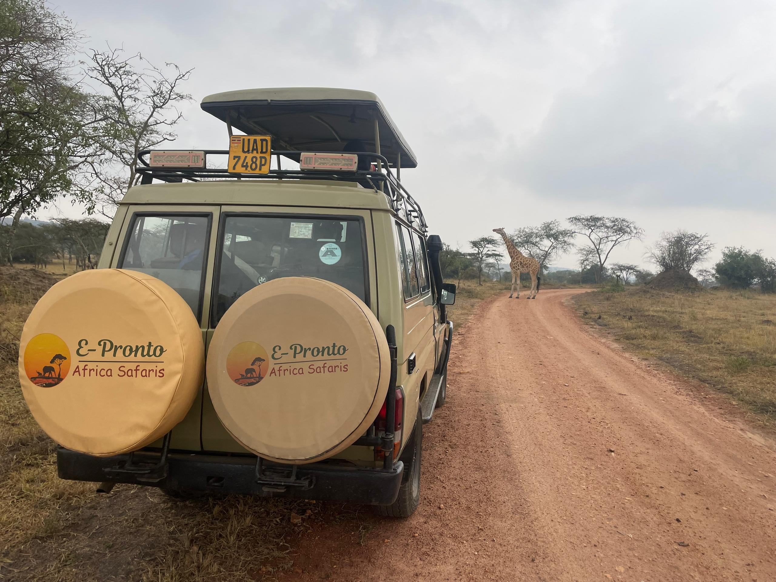 E-Pronto Africa Safaris