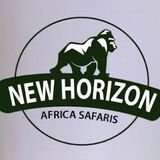 New Horizon Africa Safaris