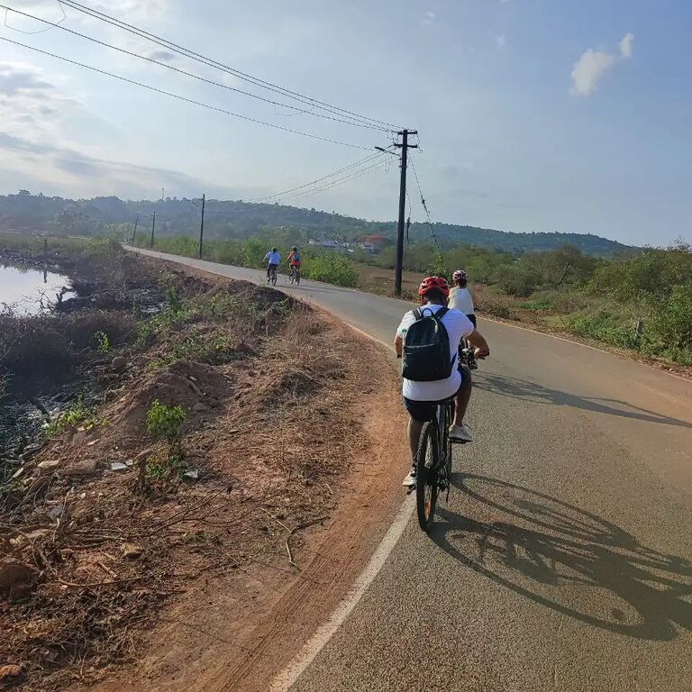 Top Goa Tours