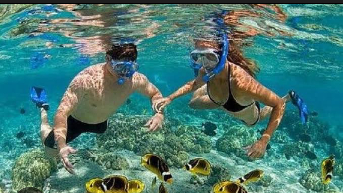 Scootic Bali tour