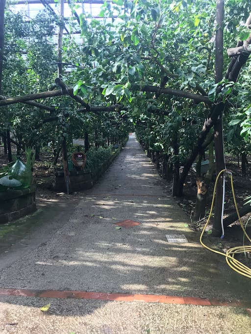 Il Giardino di Vigliano