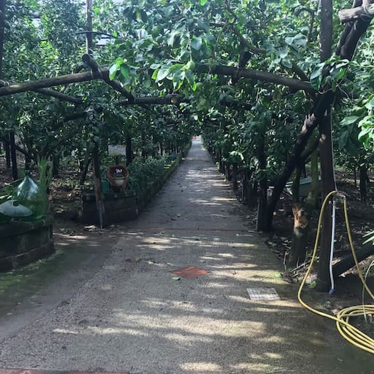 Il Giardino di Vigliano