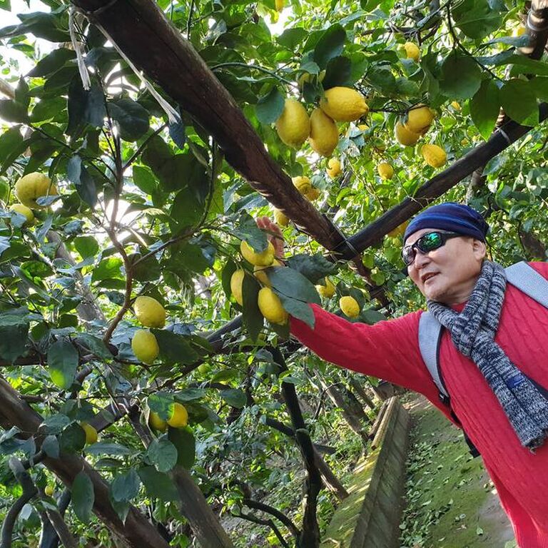 Il Giardino di Vigliano