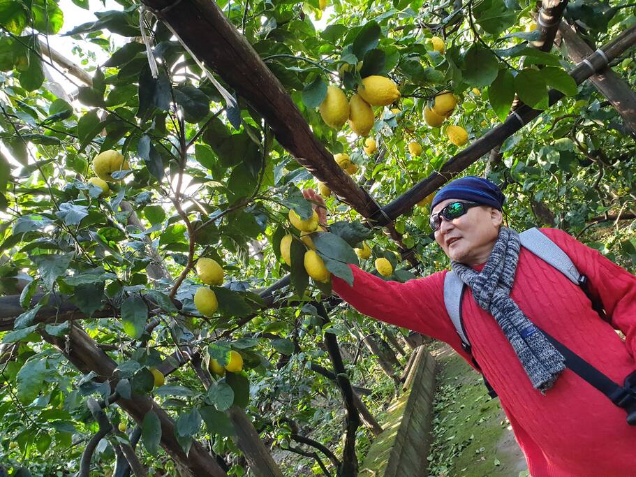 Il Giardino di Vigliano