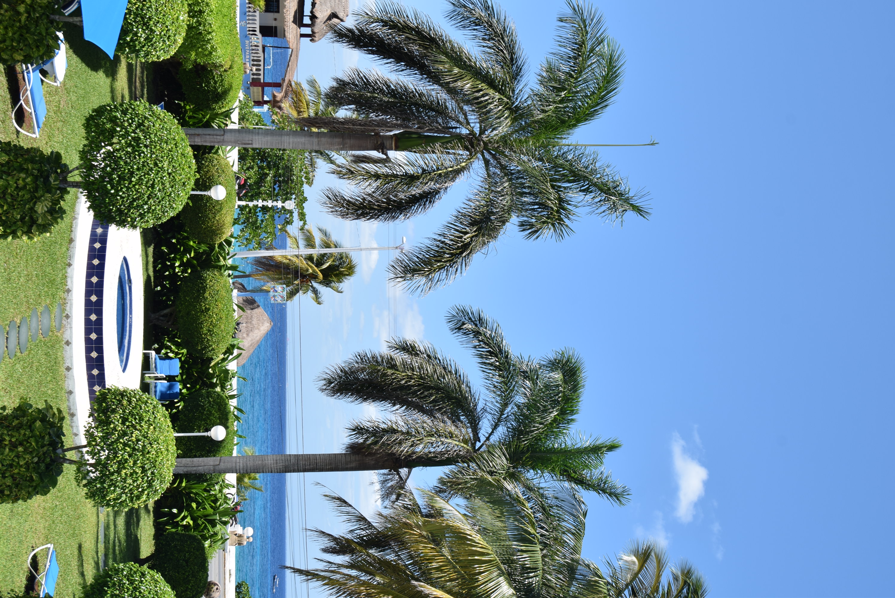 Ada yudy miranda torres