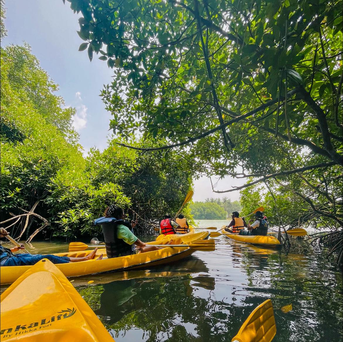 LankaLift Kayaking Hikkaduwa