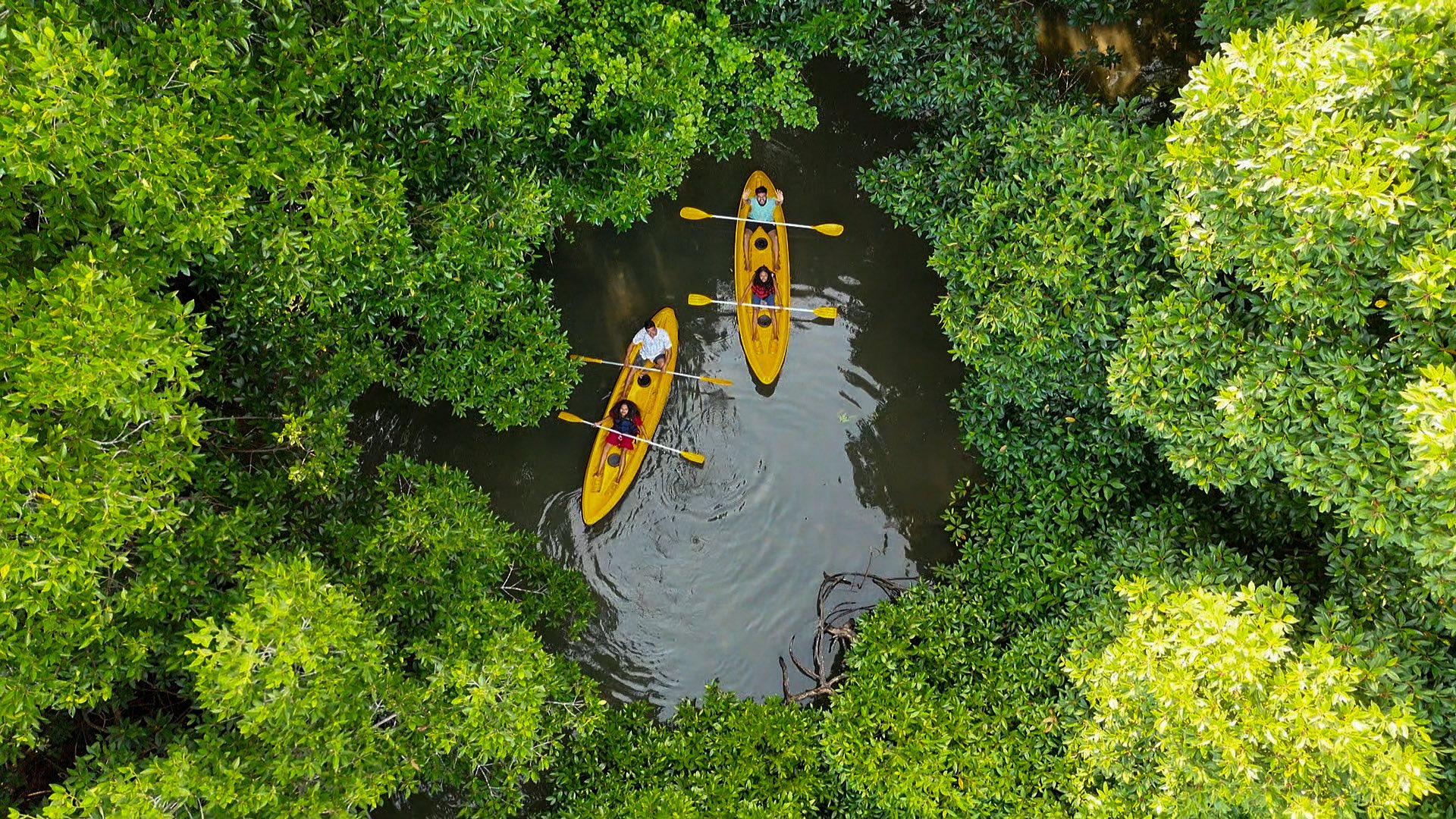 LankaLift Kayaking Hikkaduwa