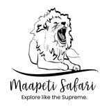 Maapeti Safari