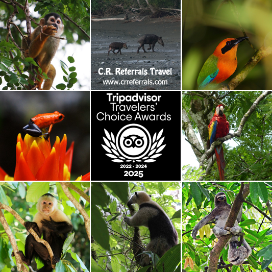 C.R. Referrals Travel