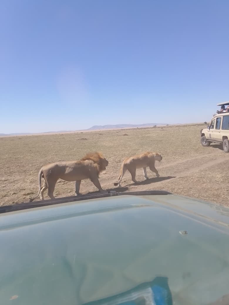 Crossriver Safaris