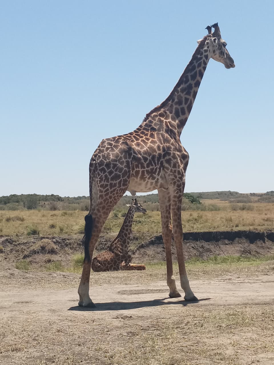 Crossriver Safaris