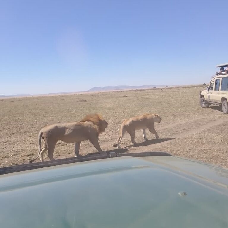 Crossriver Safaris