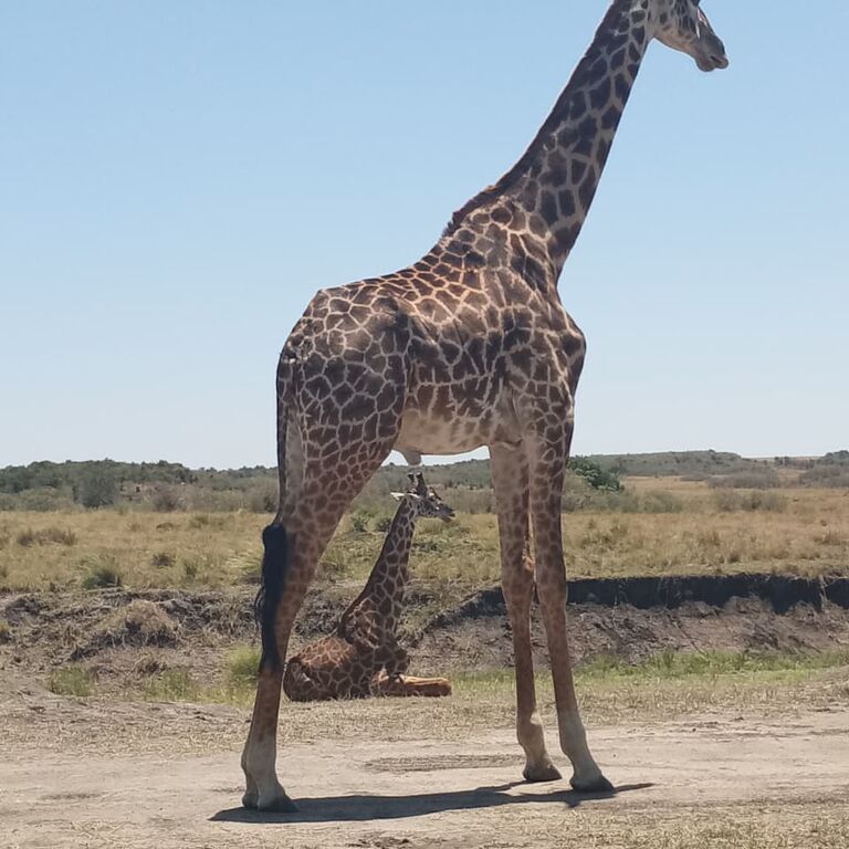 Crossriver Safaris