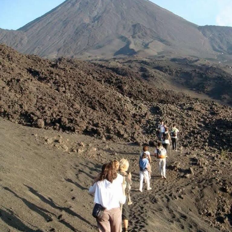 Tours guide services chico gt