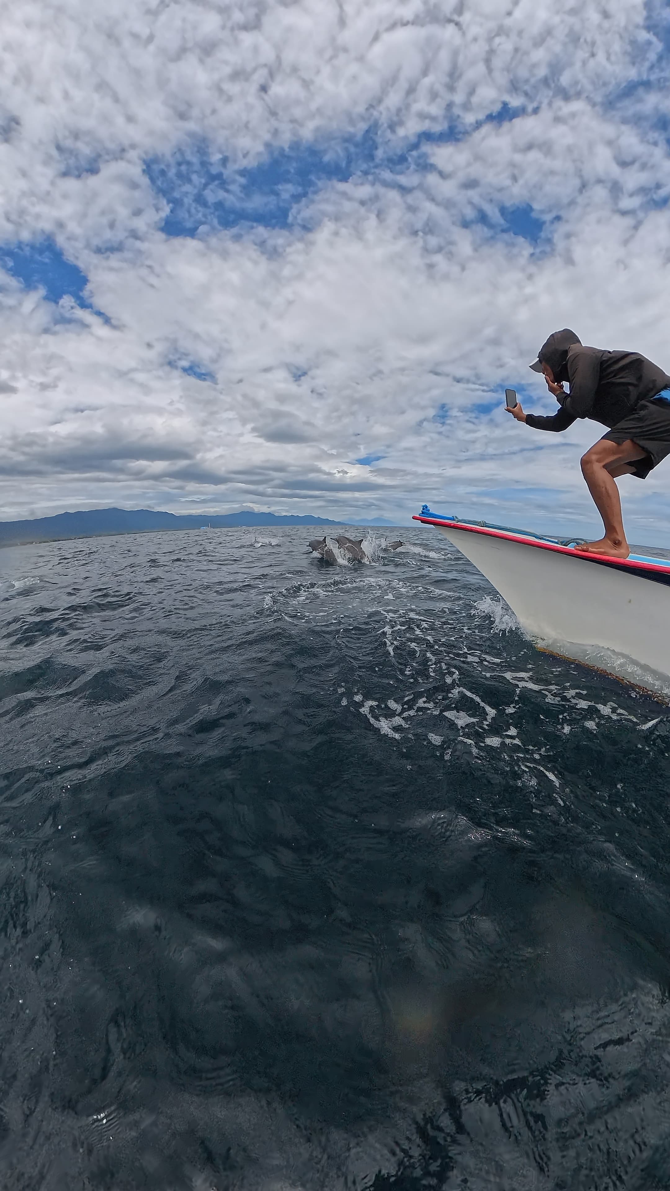 Dolphin Tour Lovina Bali
