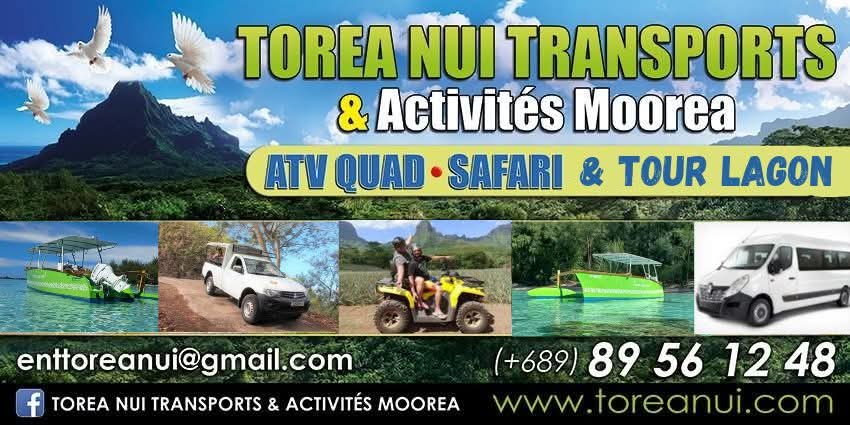 TOREA NUI TRANSPORT AND ACTIVITIES