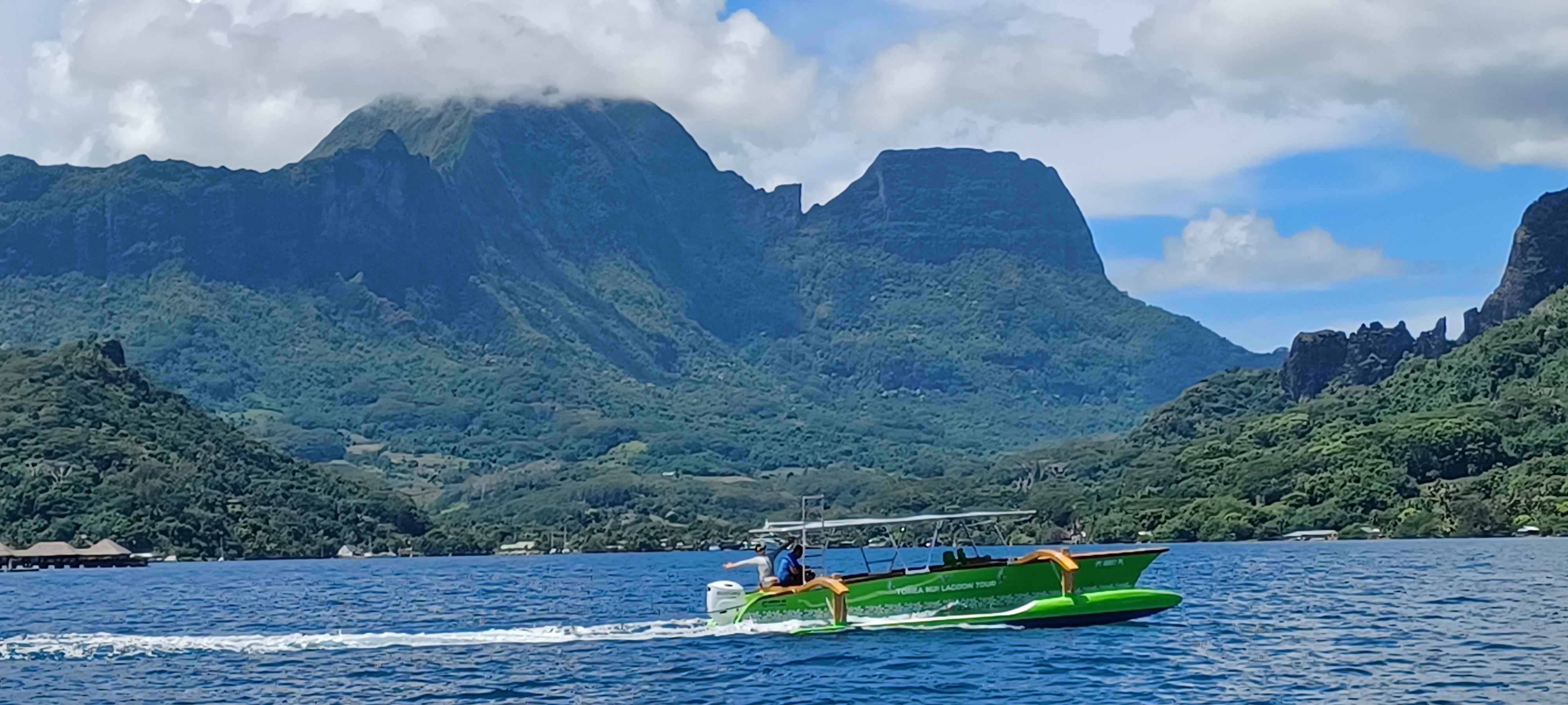 TOREA NUI TRANSPORT AND ACTIVITIES