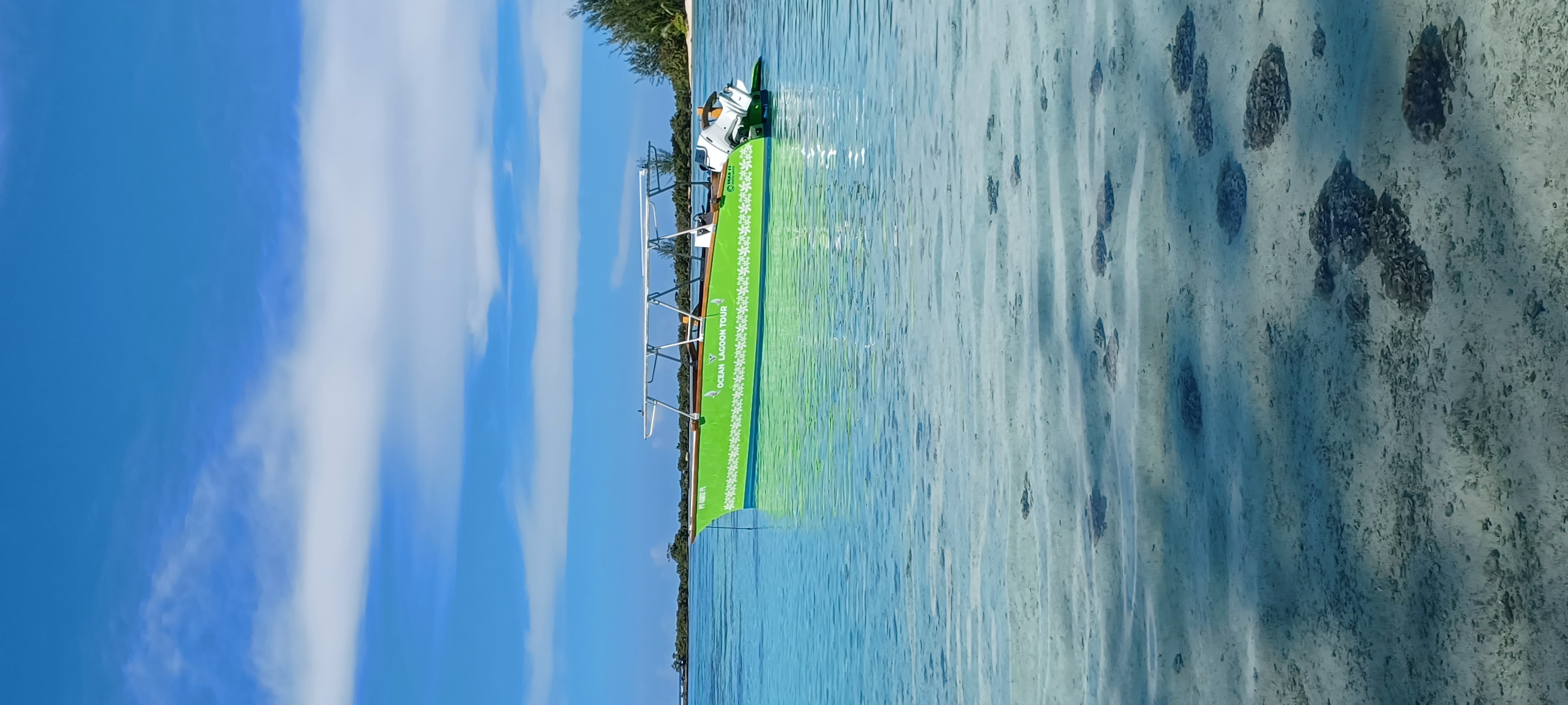 TOREA NUI TRANSPORT AND ACTIVITIES