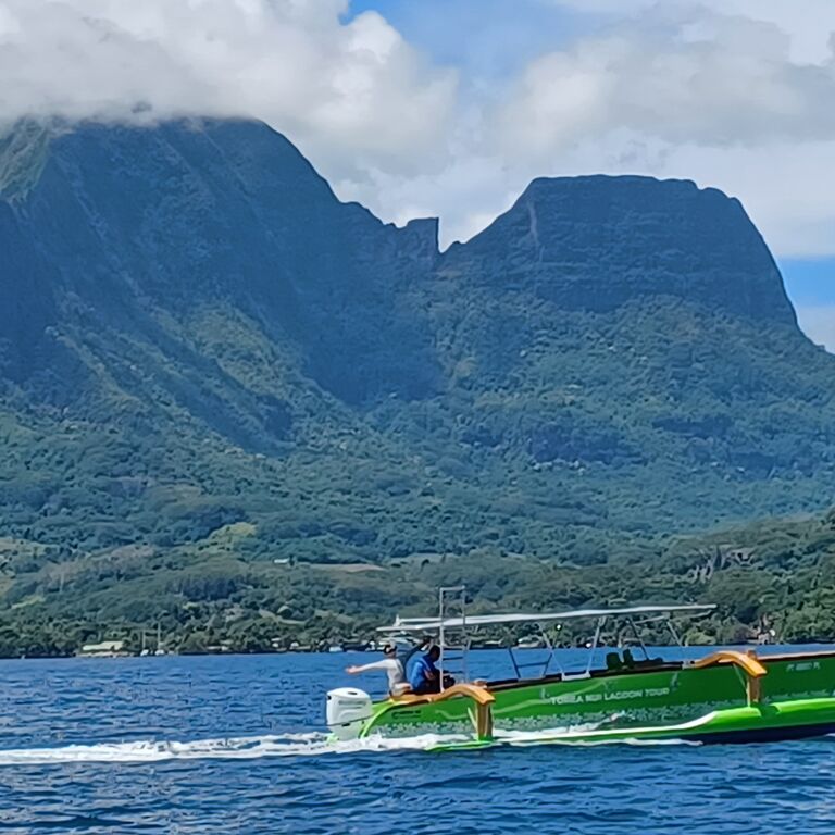 TOREA NUI TRANSPORT AND ACTIVITIES