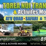 TOREA NUI TRANSPORT AND ACTIVITIES